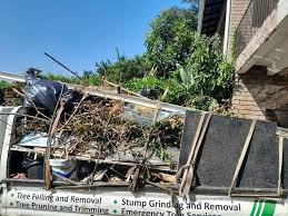 Best Construction Debris Removal  in Inkster, MI